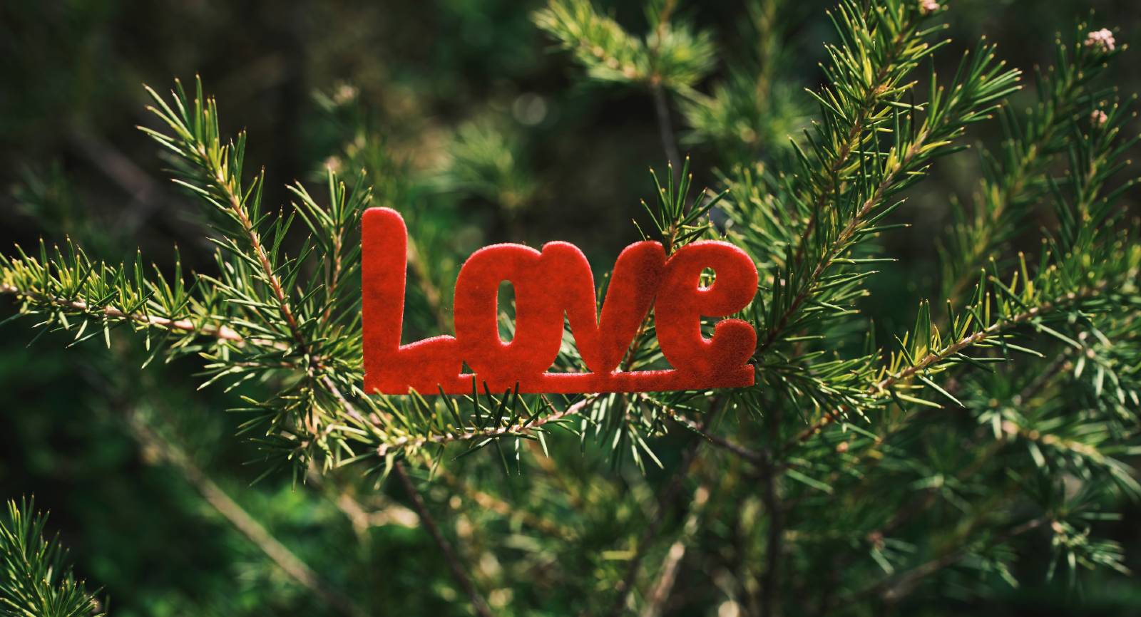 14 Perfect Valentine Gift Ideas for Your Lake Lover