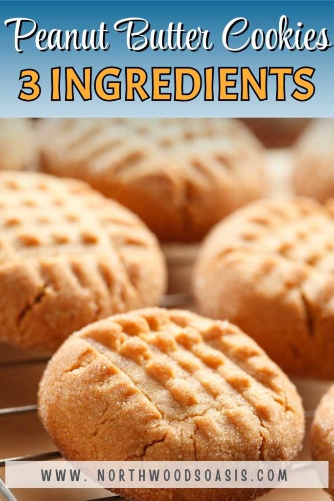 3-ingredient peanut butter cookies