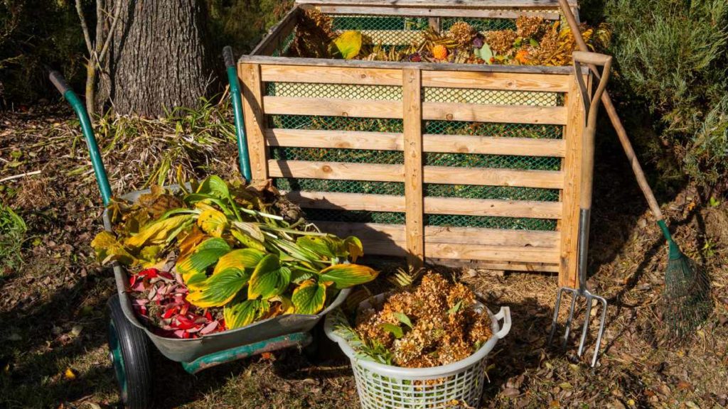 compost bin, wheelbarrow and plant materials